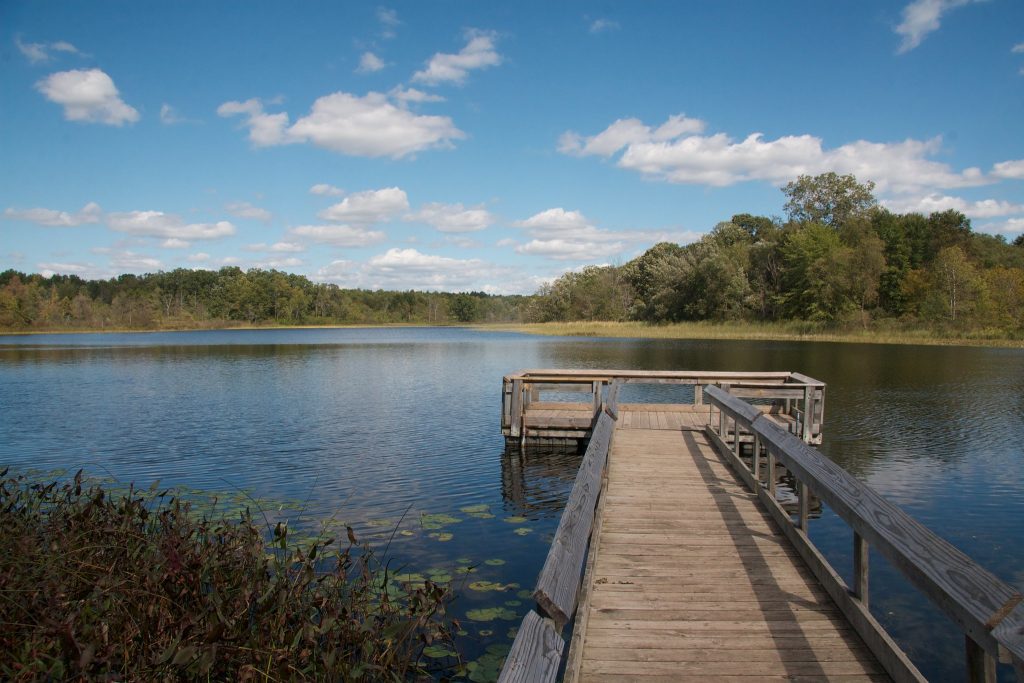 Bald Mountain State Recreation Area in Orion MI