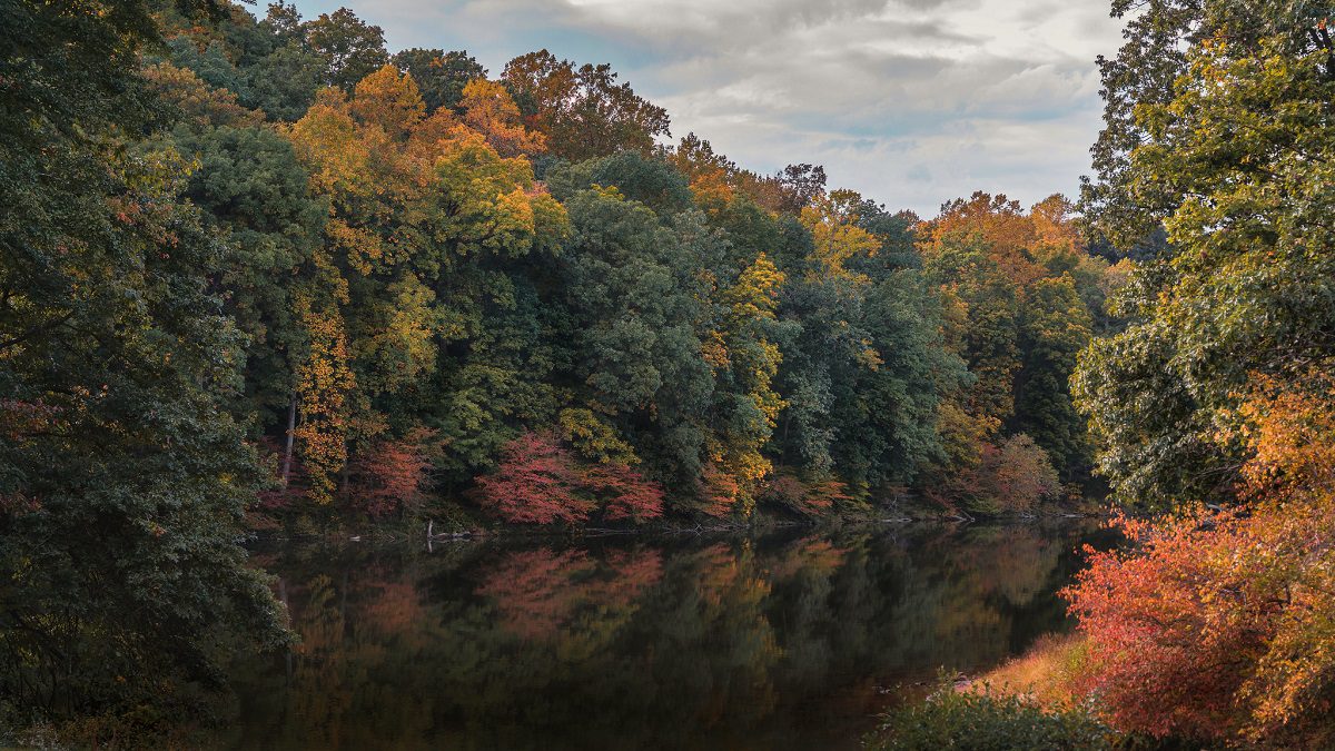 Lake Needwood in Rockville MD