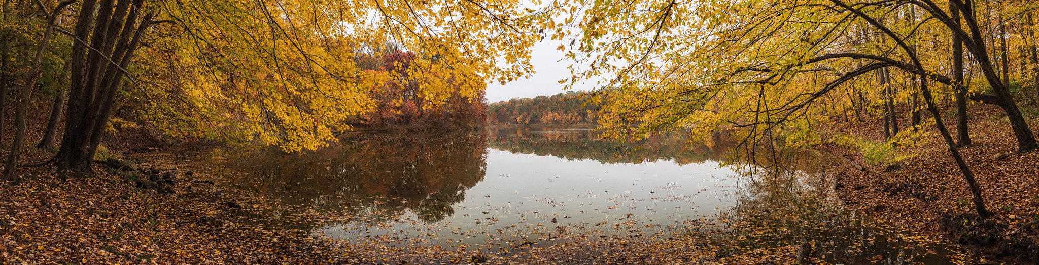 Lake Needwood in Rockville MD