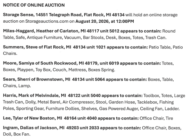 Storage auction in Flat Rock, MI