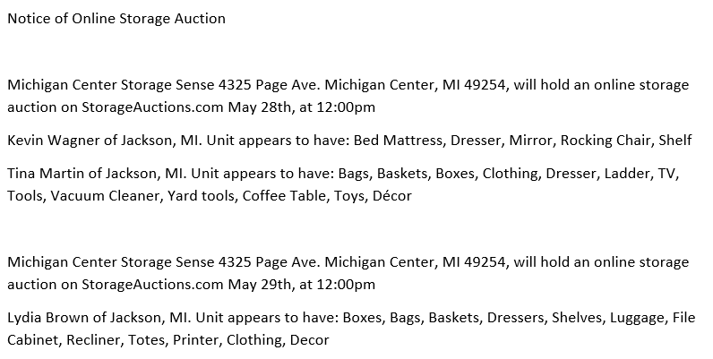 Storage auction in Michigan Center, MI