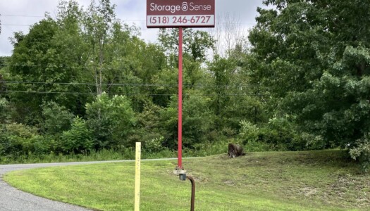 Large Storage Sense sign and the storage facility entrance keypad
