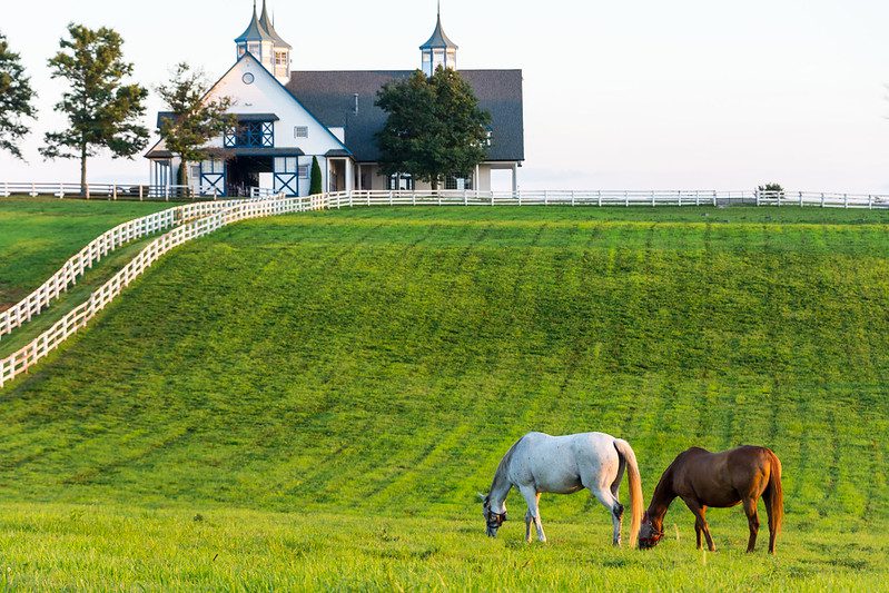 Lexington horse farm