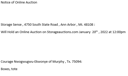 Storage Auction in Ann Arbor, MI