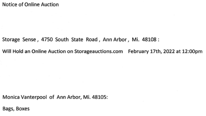Storage Auction in Ann Arbor, MI