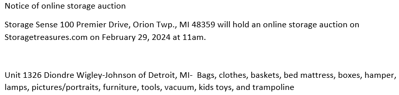 Storage auction in Orion Twp, MI