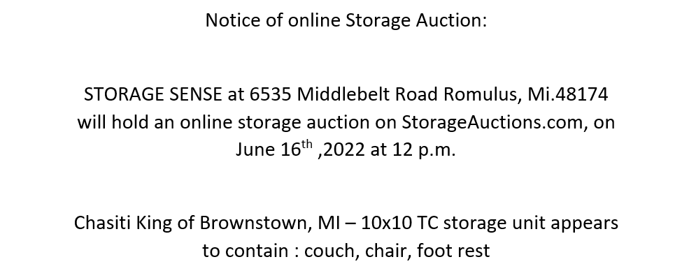 Storage Auction in Romulus, MI