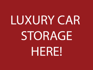 Luxury Car Storage Button