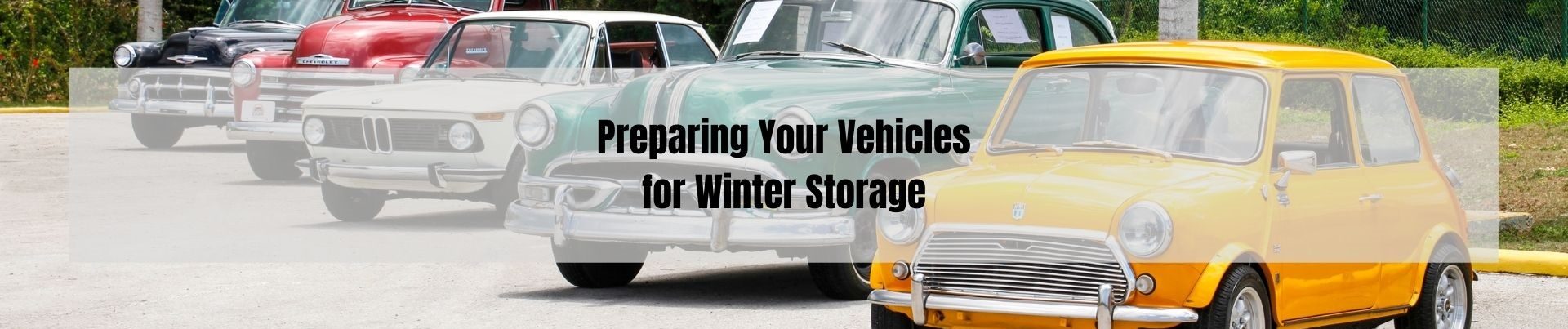 Winter Vehicle Storage